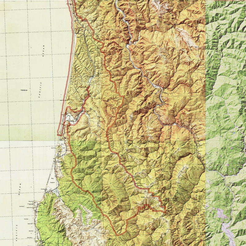 Redwood National Park Shaded Relief Map - Muir Way - Relief Series