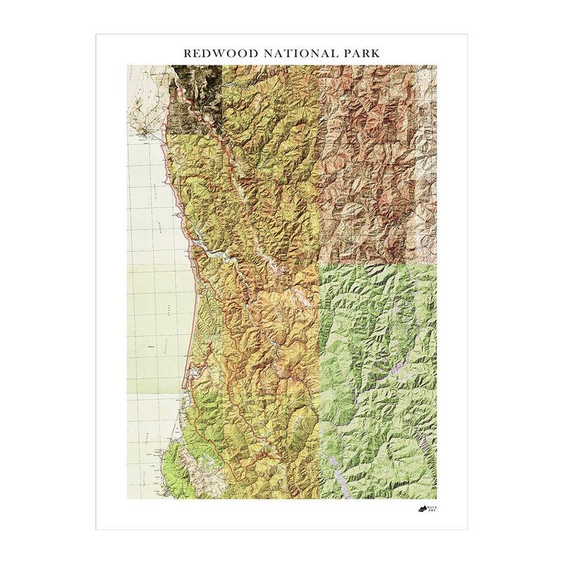 Redwood National Park Shaded Relief Map - Muir Way - Relief Series