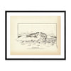 Ringed Seal Art Print