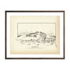 Vintage Ringed Seal fish print