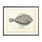 Vintage Rusty Dab fish print