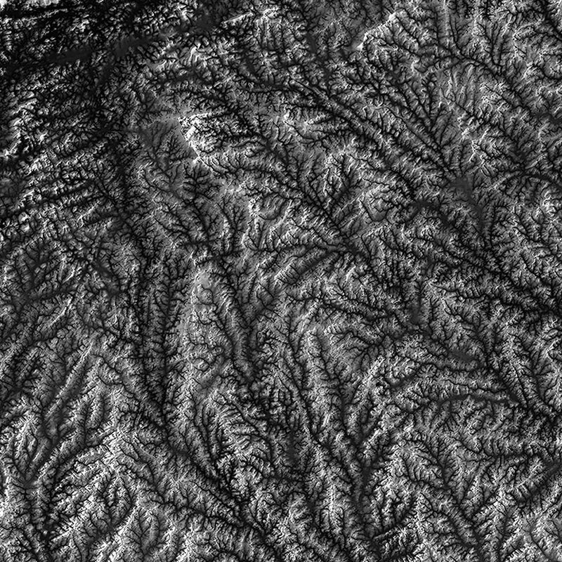 South Carolina Elevation Map - Muir Way - 