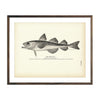 Vintage Saida Cod fish print
