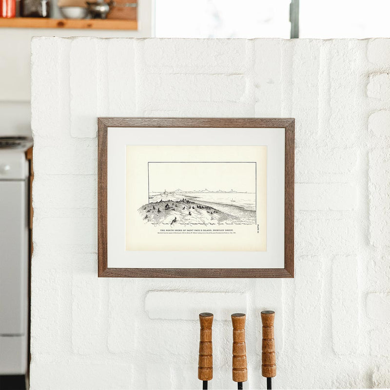 North Shore of Saint Paul's Island Art Print - Muir Way - Fisheries
