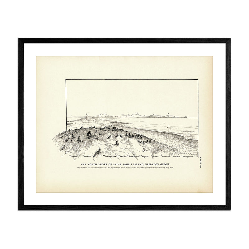 North Shore of Saint Paul's Island Art Print - Muir Way - Fisheries