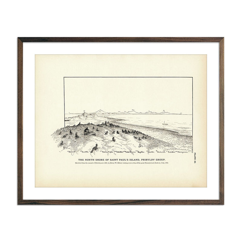 North Shore of Saint Paul's Island Art Print - Muir Way - Fisheries