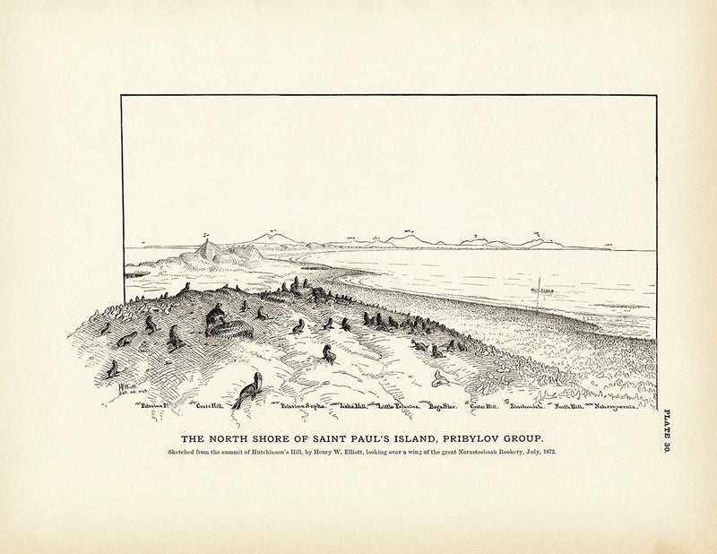 North Shore of Saint Paul's Island Art Print - Muir Way - Fisheries
