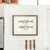 Sand Smelt (Silver Sides) and California "Smelt" (Pescadillo) Art Print