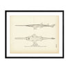 Sawfish Art Print