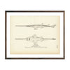 Vintage Sawfish print