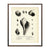 Vintage Sea Snails, Periwinkles, Drills and Borers - Set 1 fish print