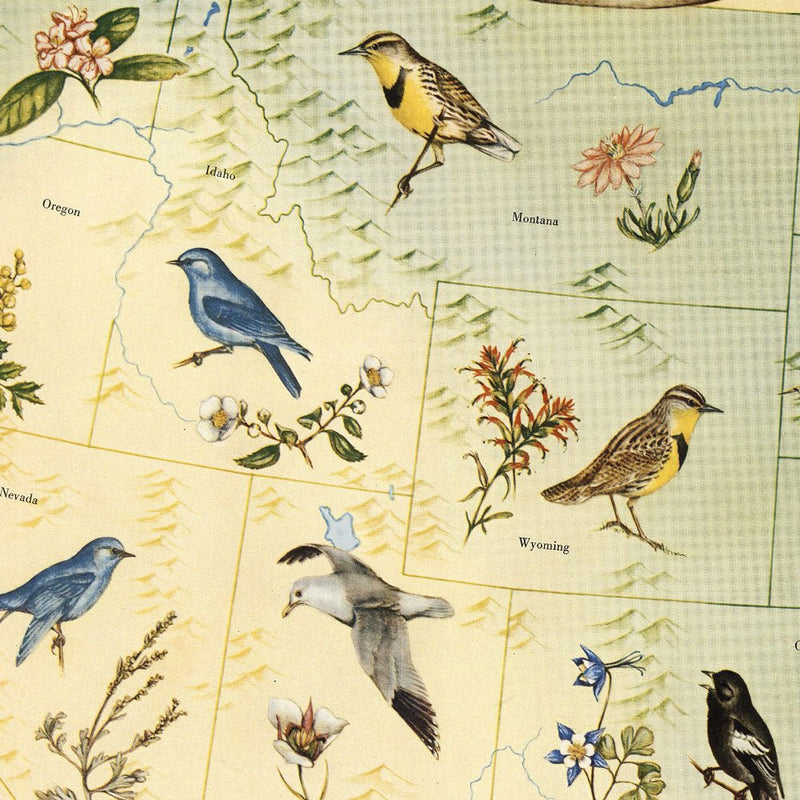State Birds and Flowers of USA Map - 1965 - Muir Way - Vintage Map