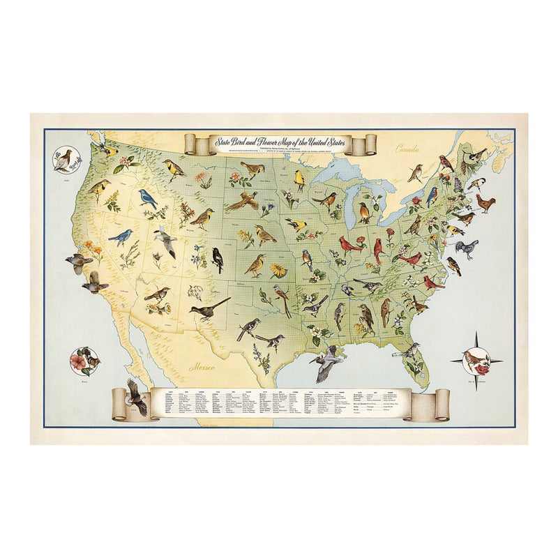 State Birds and Flowers of USA Map - 1965 - Muir Way - Vintage Map