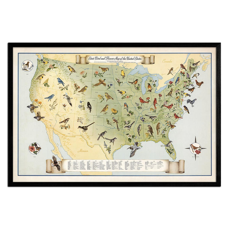 Vintage Map of US State Birds and Flowers - 1965