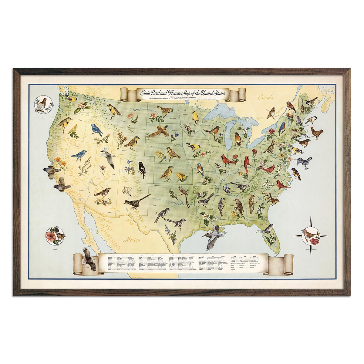 Vintage Map of US State Birds and Flowers - 1965