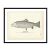 Steel Head Art Print