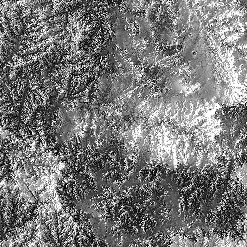 Tennessee Elevation Map - Muir Way - Elevation
