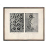 1874 Terrestrial and Lunar Volcanic Areas Compared Print
