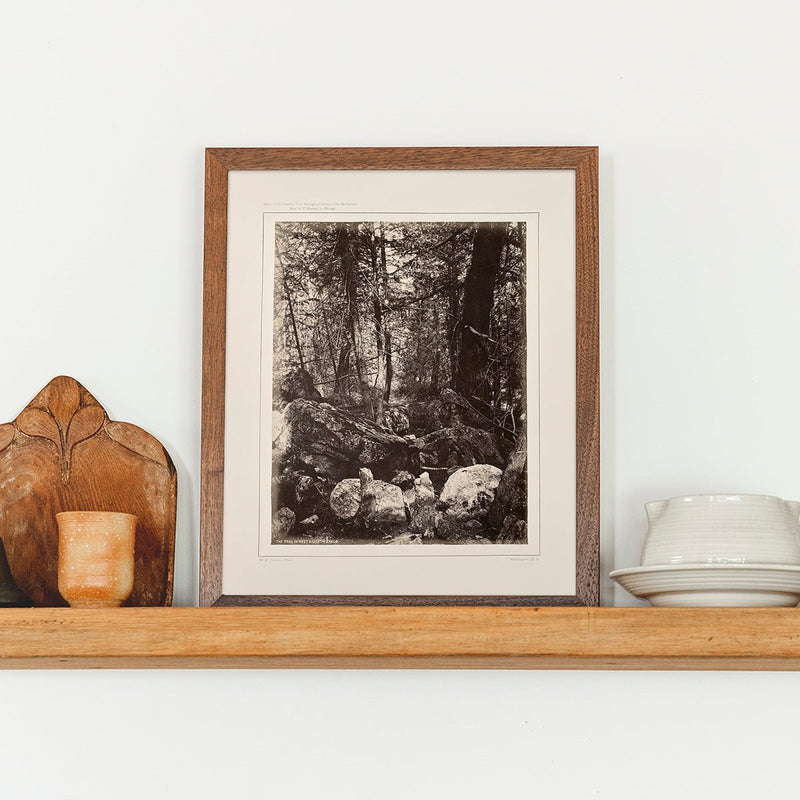 The Trail in the Woods, Gallatin Canyon, Yellowstone 1873 - Muir Way - Photograph
