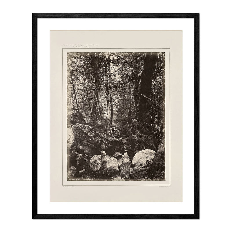 The Trail in the Woods, Gallatin Canyon, Yellowstone 1873 - Muir Way - Photograph