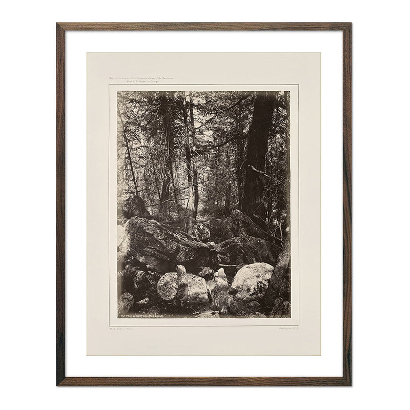 The Trail in the Woods, Gallatin Canyon, Yellowstone 1873 - Muir Way - Photograph