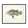 Tree-Fish Art Print