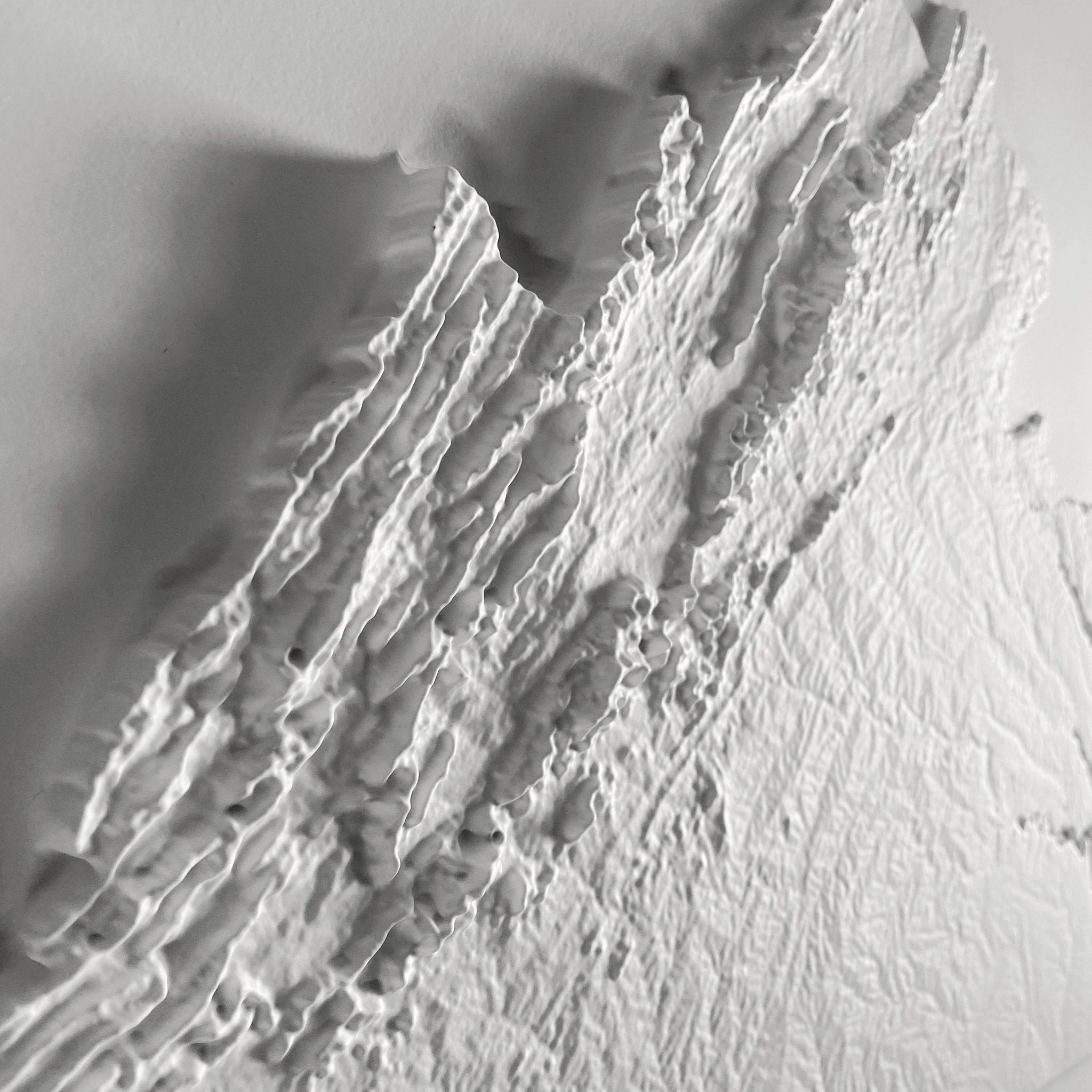 Virginia 3D Raised Relief Map - Muir Way - 3D