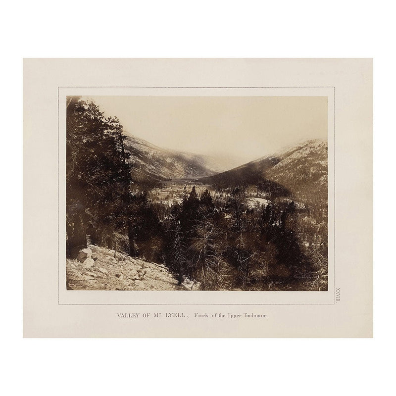 Valley of Mt. Lyell, Yosemite 1868 - Muir Way - Photograph
