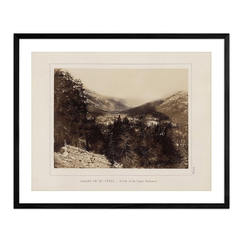 Valley of Mt. Lyell, Yosemite 1868 - Muir Way - Photograph
