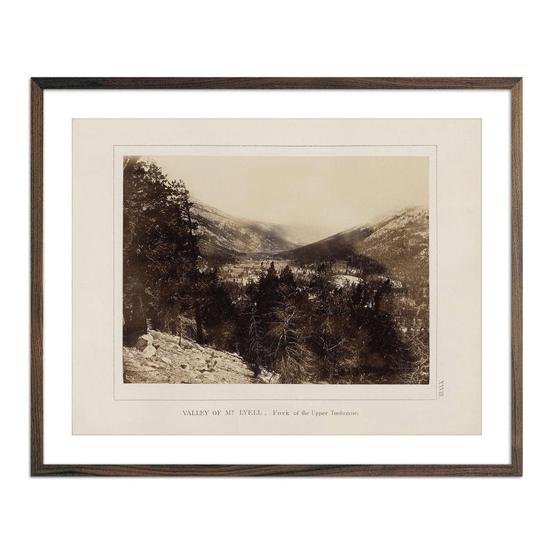 Valley of Mt. Lyell, Yosemite 1868 - Muir Way - Photograph