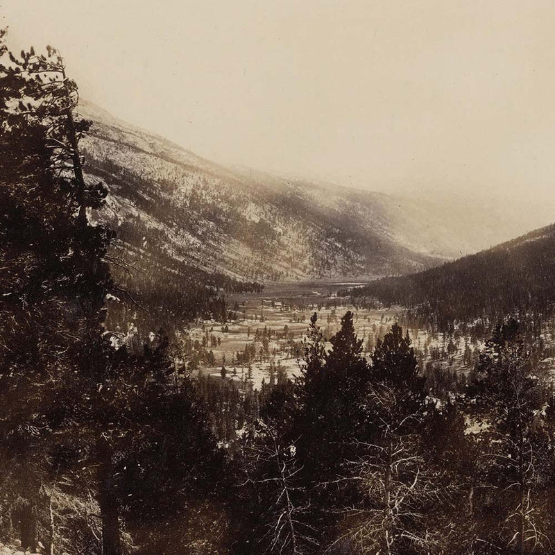 Valley of Mt. Lyell, Yosemite 1868 - Muir Way - Photograph