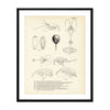 Various Sea Creatures - Set 1 Art Print