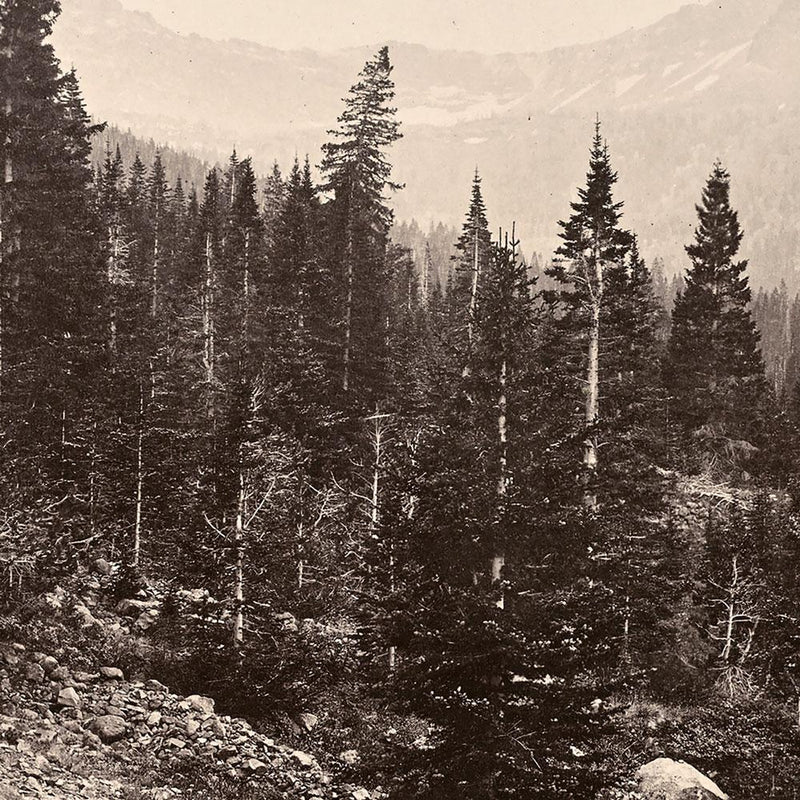 View Near Mount Blackmore, Yellowstone 1873 - Muir Way - Photograph