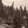 View Near Mount Blackmore, Yellowstone 1873