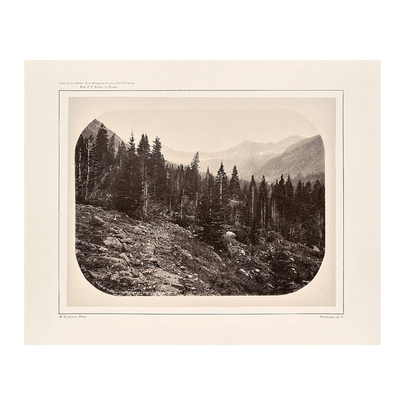 View Near Mount Blackmore, Yellowstone 1873 - Muir Way - Photograph