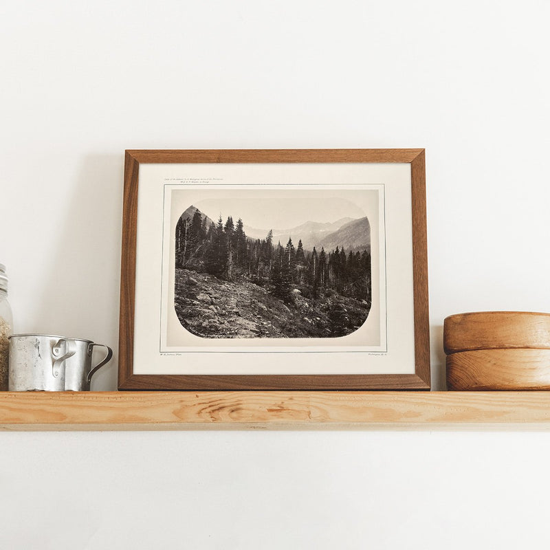 View Near Mount Blackmore, Yellowstone 1873 - Muir Way - Photograph