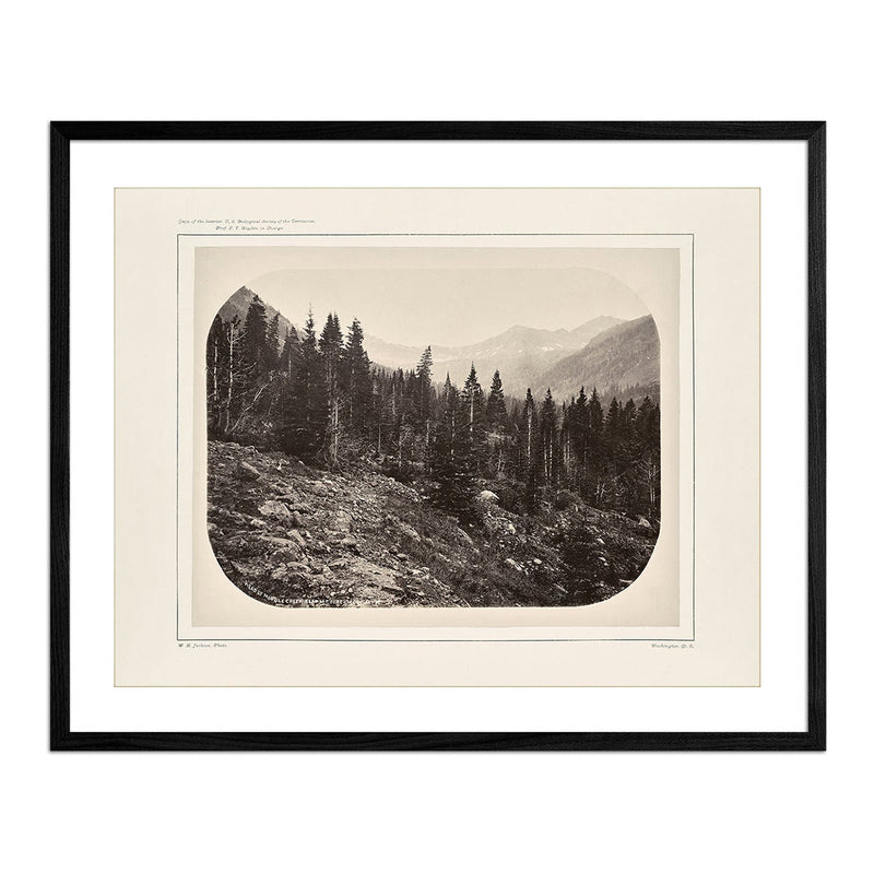 View Near Mount Blackmore, Yellowstone 1873 - Muir Way - Photograph
