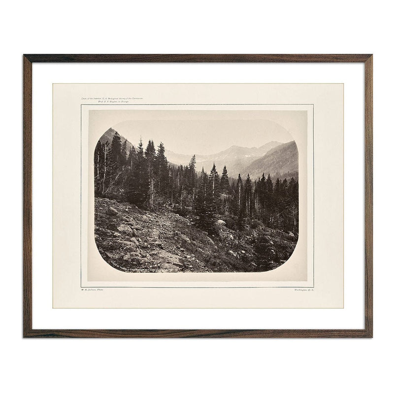 View Near Mount Blackmore, Yellowstone 1873 - Muir Way - Photograph